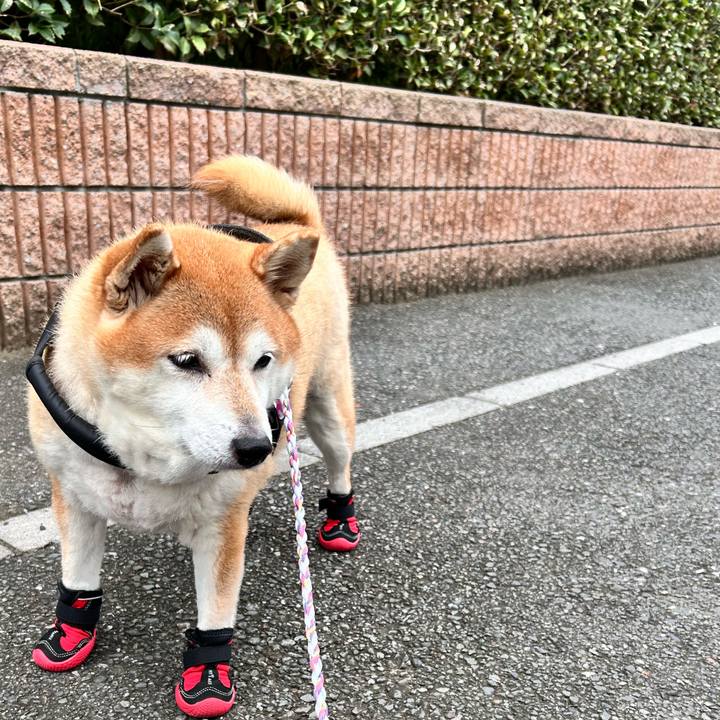 Ae57b128 7193 4e1b 8550 c782ac22814e 1730168120951