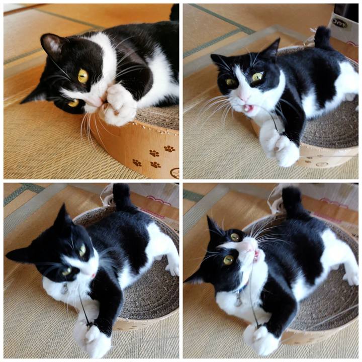 Ae581af4 9639 49f8 916c 37ac34655390 1632714694495