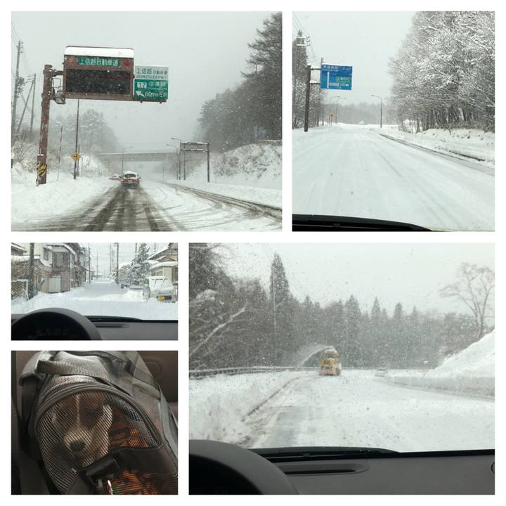 Ae582acd 8cdc 4f11 ac2f 933682d465bc 1513479275191