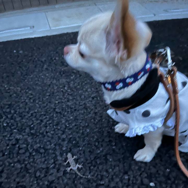 Ae5842f2 923e 47d0 9a20 d6513e153756 1721999050403