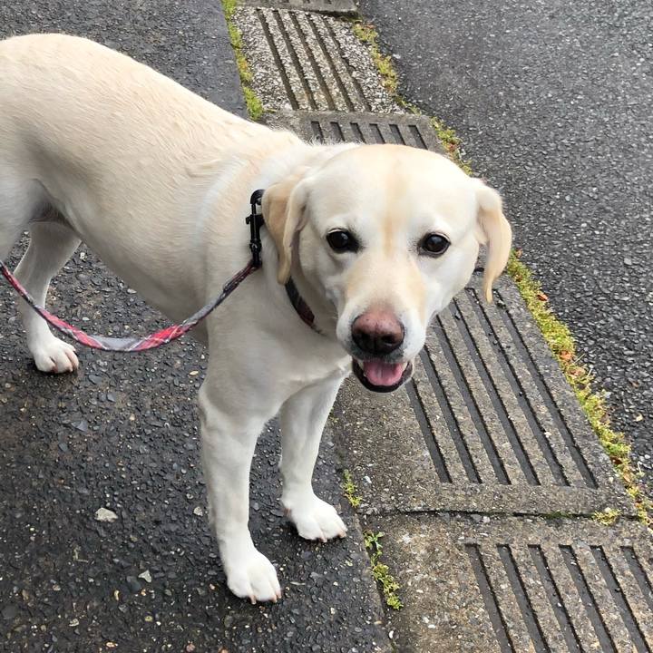 Ae58883e 4f8f 44a5 9493 d6a9a64394ea 1654568230870