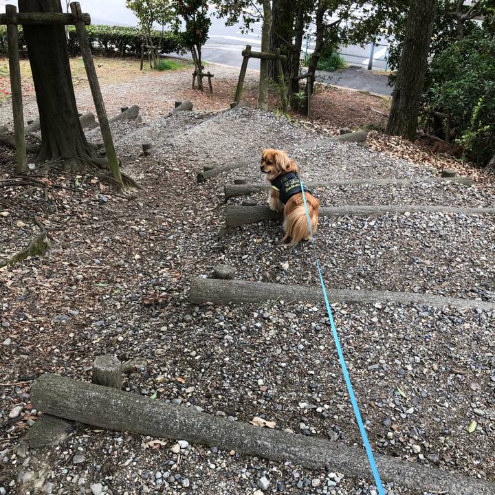 Ae58b22c a5e0 4ba0 8c21 7a0803cf6332 1553299255730