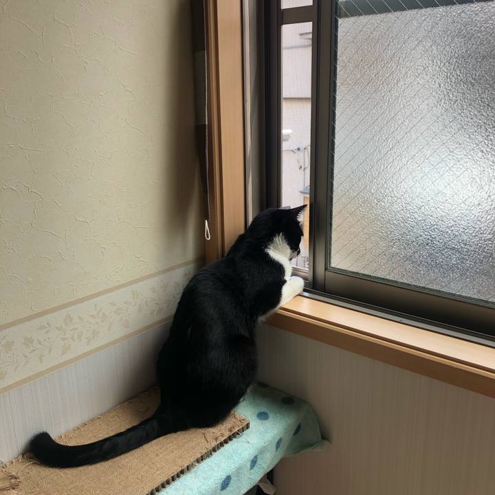 Ae58bf7a c3b0 404b b226 0f7812ee95b2 1598623178675