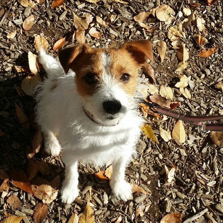 Ae58c111 dd26 4553 b39e abc955b80a5a 1511993050026