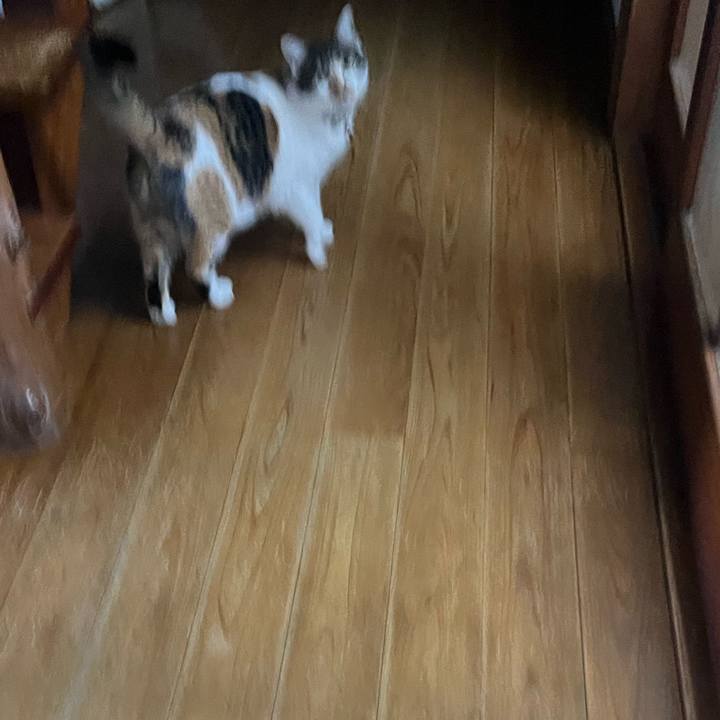 Ae58d96c d953 46f8 a8b7 c95829ad9f16 1771310008375