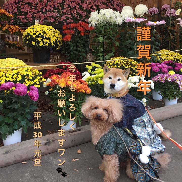 Ae58f129 cdde 4b6a 9d1d 9acc708b6163 1514770848256