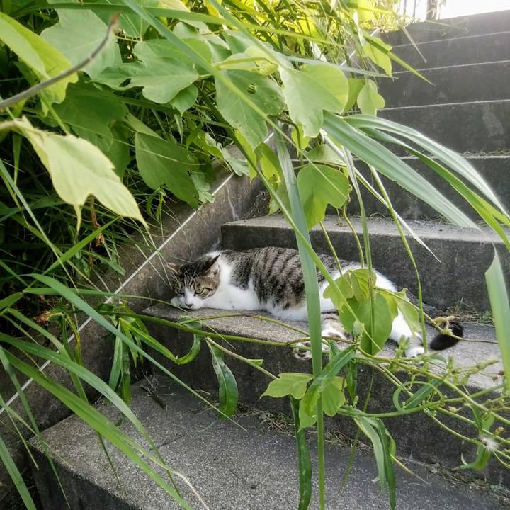 Ae58f5ea 4424 4f1b 8fcd 70e0823468a0 1564572134901