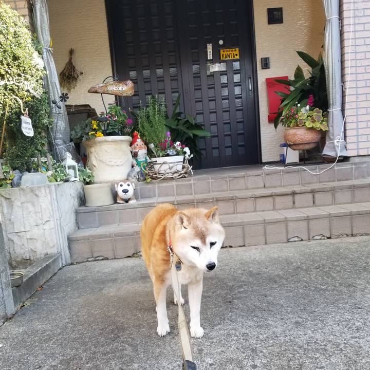 Ae590bf9 7803 435f 8ff3 58e88fe8fbf1 1763699418205