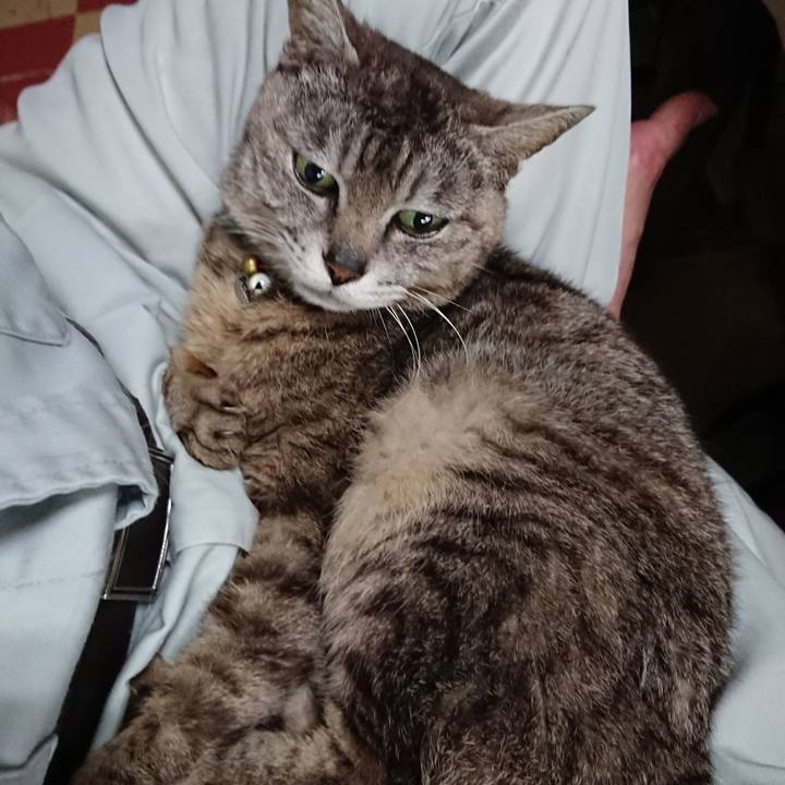 Ae594c60 ca6c 4e77 9ff2 be602b57f179 1561671923888