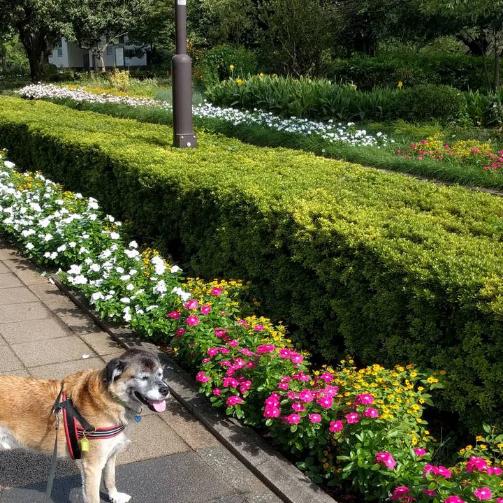 Ae598f6b 034d 4869 a6dd c4b2bd664ec0 1536540935997