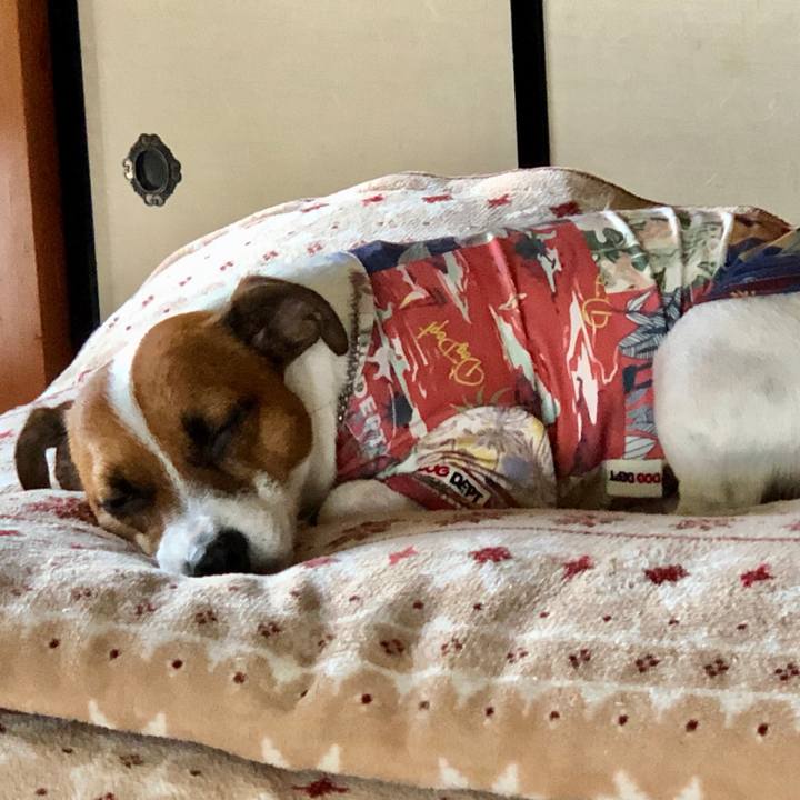 Ae599edf 2424 461a b619 219e345e9822 1598769108235