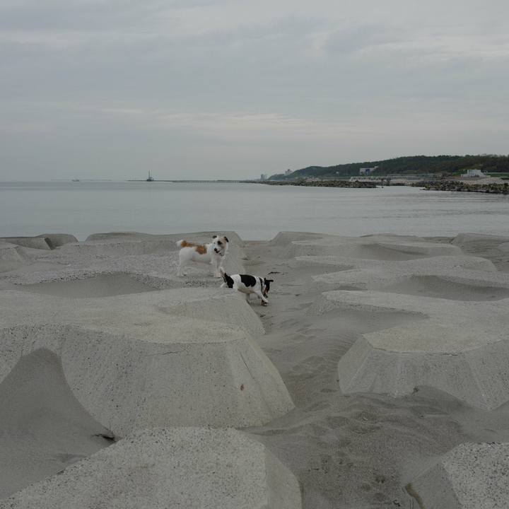 Ae59c2e6 000c 47b7 8288 3b89378bfb36 1526184257038