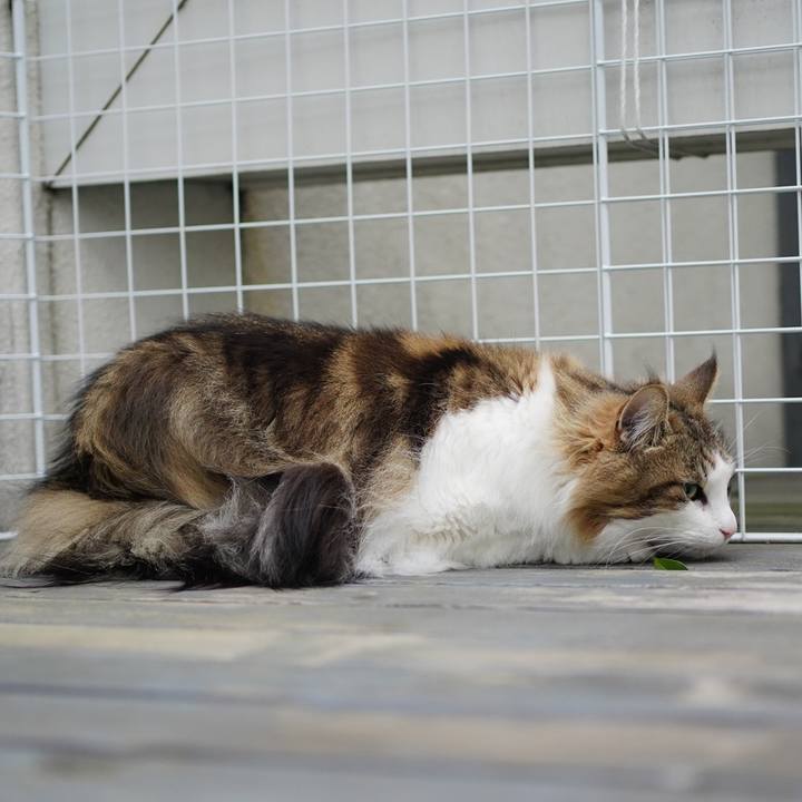 Ae59e09c e4a4 467e b86f 9455ef0538c9 1680832908194