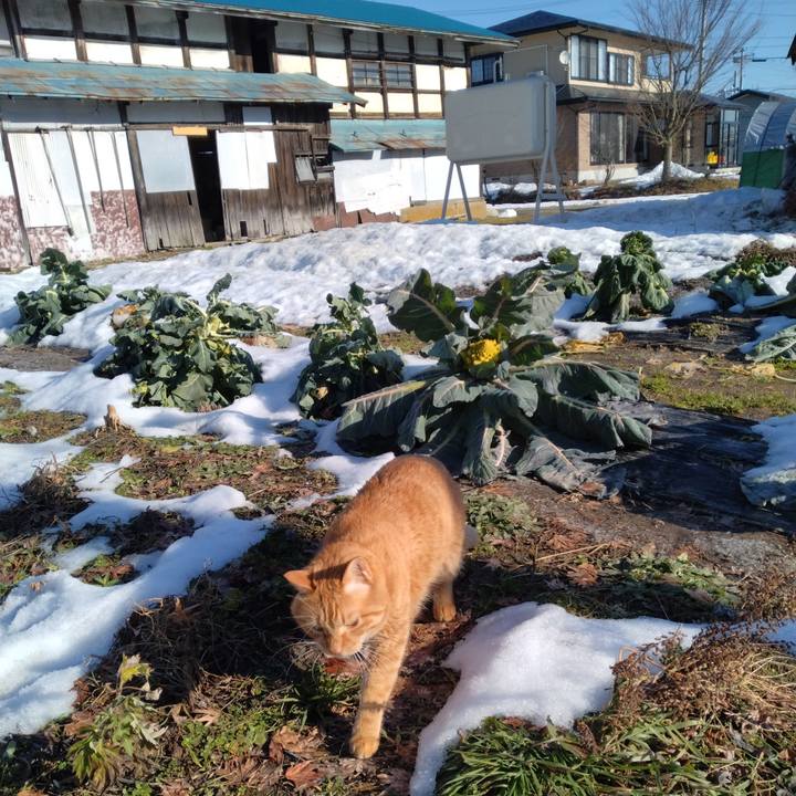 Ae5a33c5 b181 4c30 a6f0 97ffd7ea2809 1703727740016