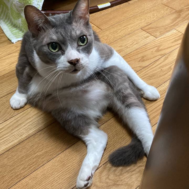 Ae5a804a a873 4bfe 8421 201b65a43c7b 1659272098099