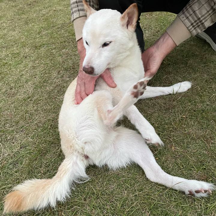 Ae5a8c10 e229 446a bccc f72ce558e496 1667260857950