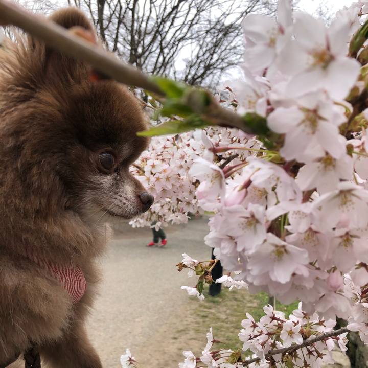 Ae5aaebf 6b0f 4b6a 8759 2c3fa142ed1f 1619658771633