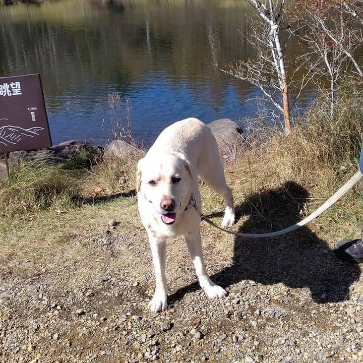 Ae5acf49 6bcc 4e73 8ed5 26c2722f086c 1635644371337