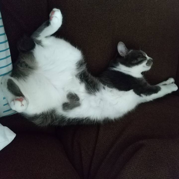 Ae5acf84 fa5f 422e 8d26 c73b130936ca 1613304849124