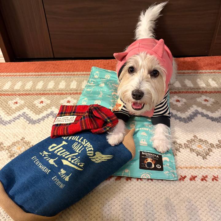 Ae5adc64 001c 4036 b7d7 11ff090b08fd 1766668236891