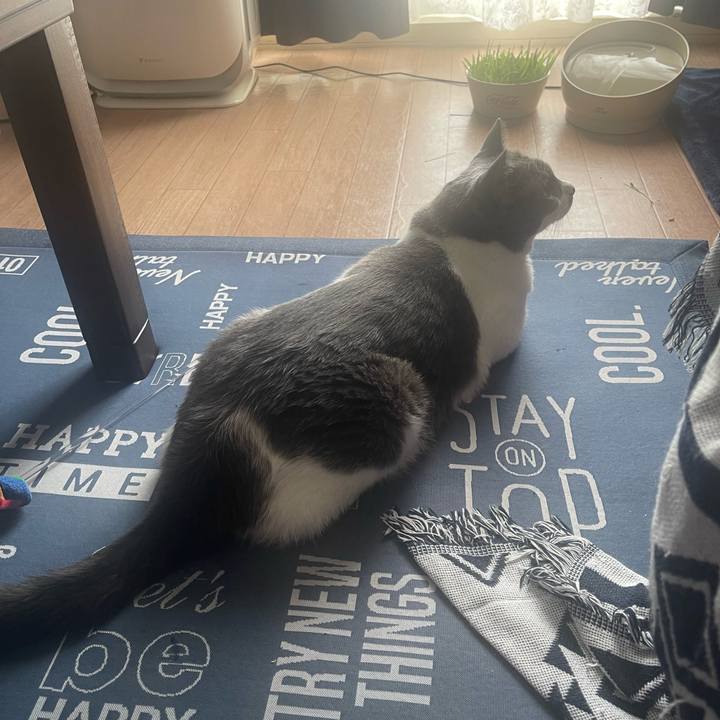 Ae5ae545 b995 4e53 9123 7fbc367b28bb 1694668778810