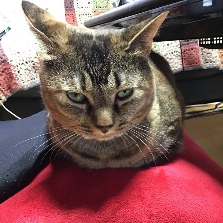 Ae5b0cef 985d 49c0 9689 b64d05f2167c 1722855200107