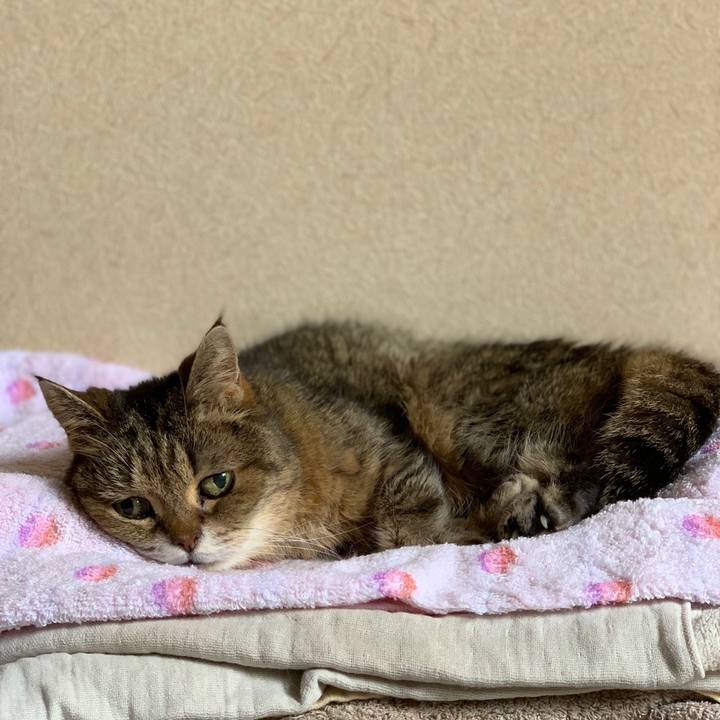 Ae5b387d d331 42ae 9b0a e427e830acc9 1559715601253