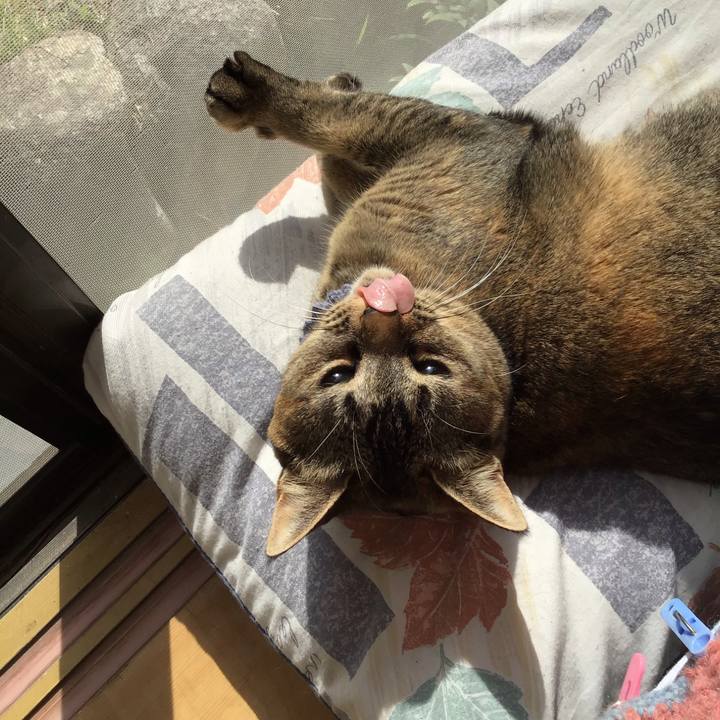 Ae5b3bf1 593e 4a98 bb8c 64f0f83d416b 1616808982122