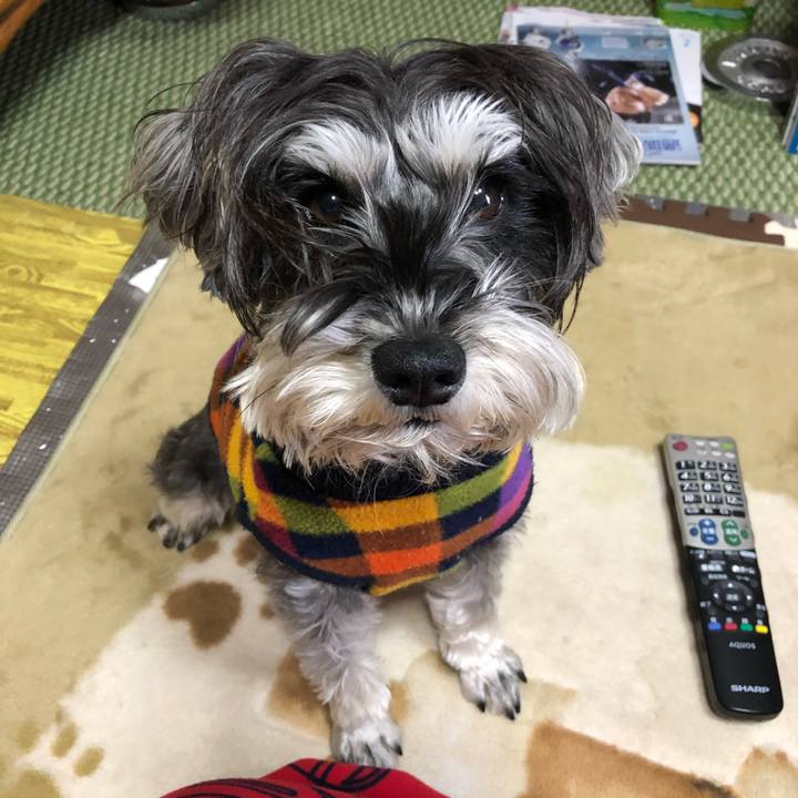 Ae5b63fe 75d7 4f5b ab6e 46177d021661 1518231240560