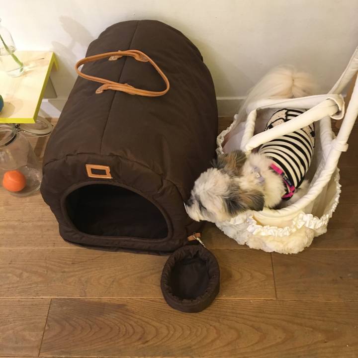 Ae5bc201 a3ae 429f be19 42a2be835dfc 1524110126656