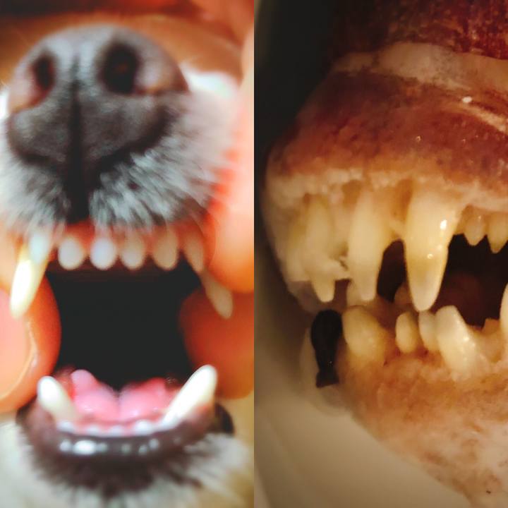 Ae5be4f8 d19e 4291 b429 9d097cfa3368 1554730582033