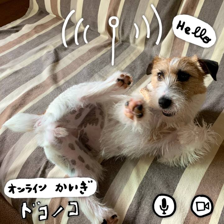 Ae5c1e15 75ea 4b84 91fe 8b4ee0e558db 1591062986685