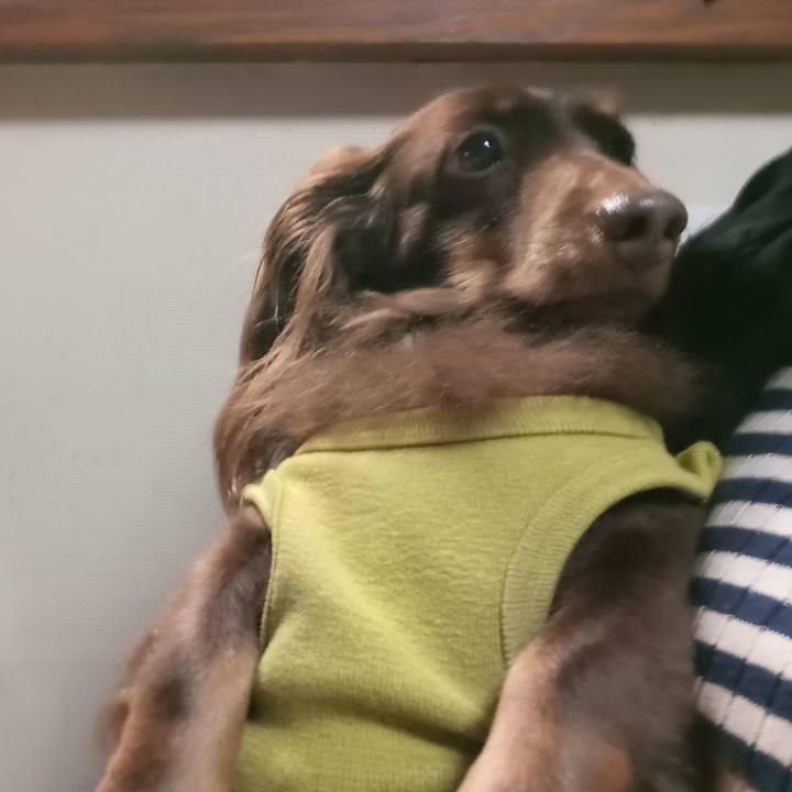 Ae5c77aa 4730 4d7f b6ab 889d640e883b 1761600199568