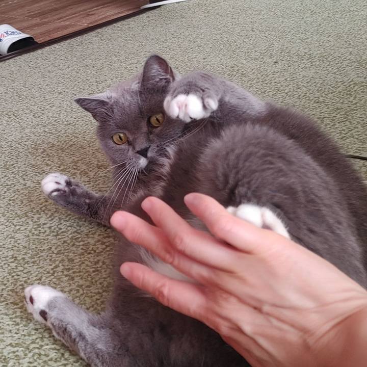 Ae5c8acb 5580 4340 94b0 bc4722460720 1728863269343