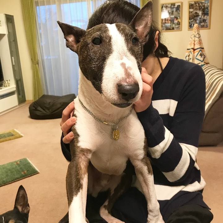 Ae5c9f37 dd24 467e 9b03 c9885661d666 1516785206915