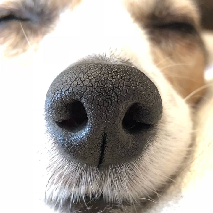 Ae5cacda 11f7 4573 9a10 b0bb9e33f05d 1523447987922