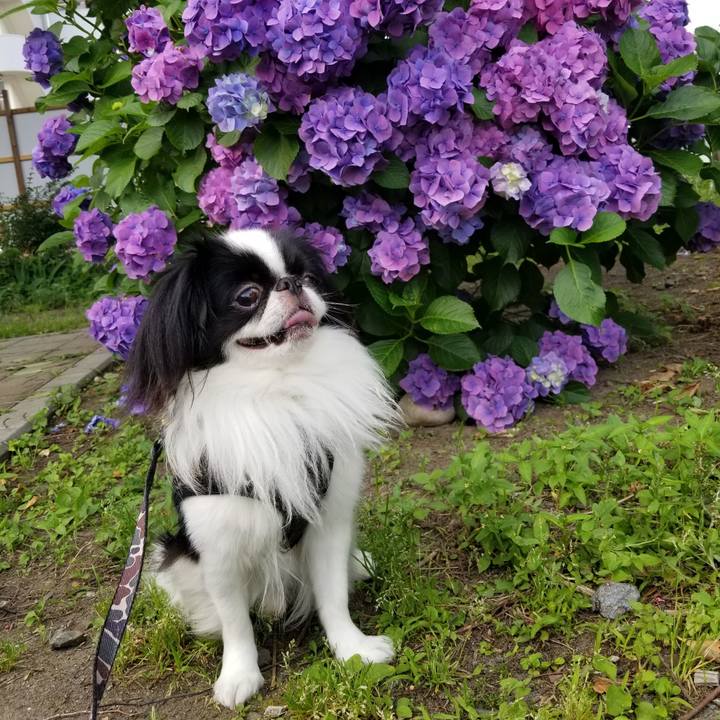 Ae5cbab1 c011 4b57 9349 c4f719aff3ca 1655690488405