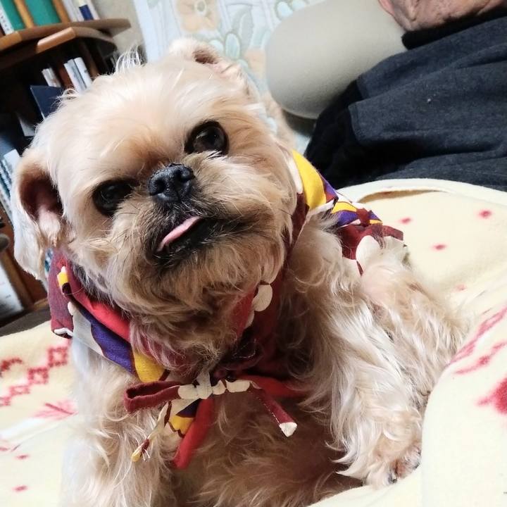 Ae5cf291 8ca9 47b2 b265 c66c23323264 1641122326597