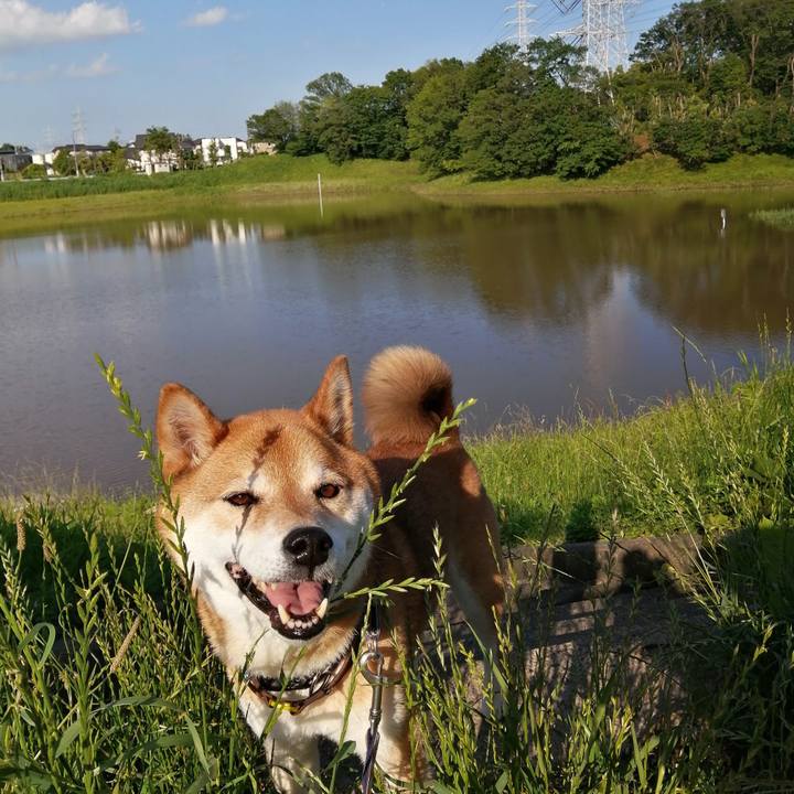 Ae5cf2b5 d5df 4a79 916a f1e611e70270 1685781362392