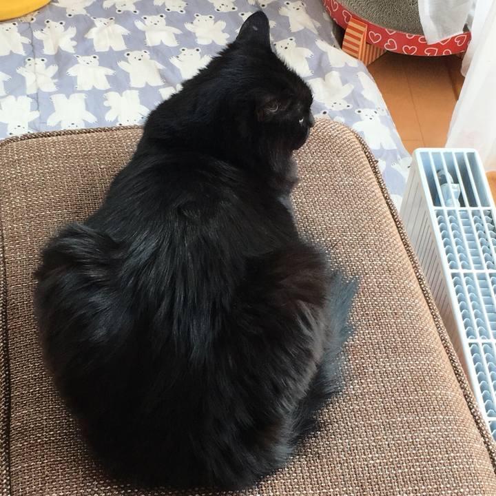 Ae5d5ef3 339c 4296 8710 7213bb22c10f 1524799778249