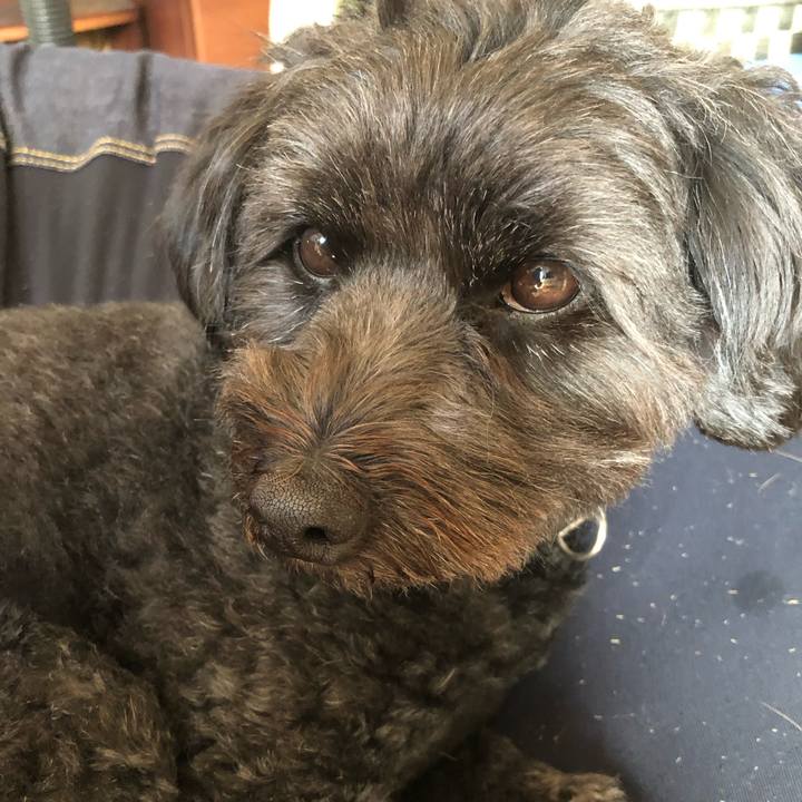 Ae5d7335 f8b8 4039 815c b679052ec39e 1549244878250