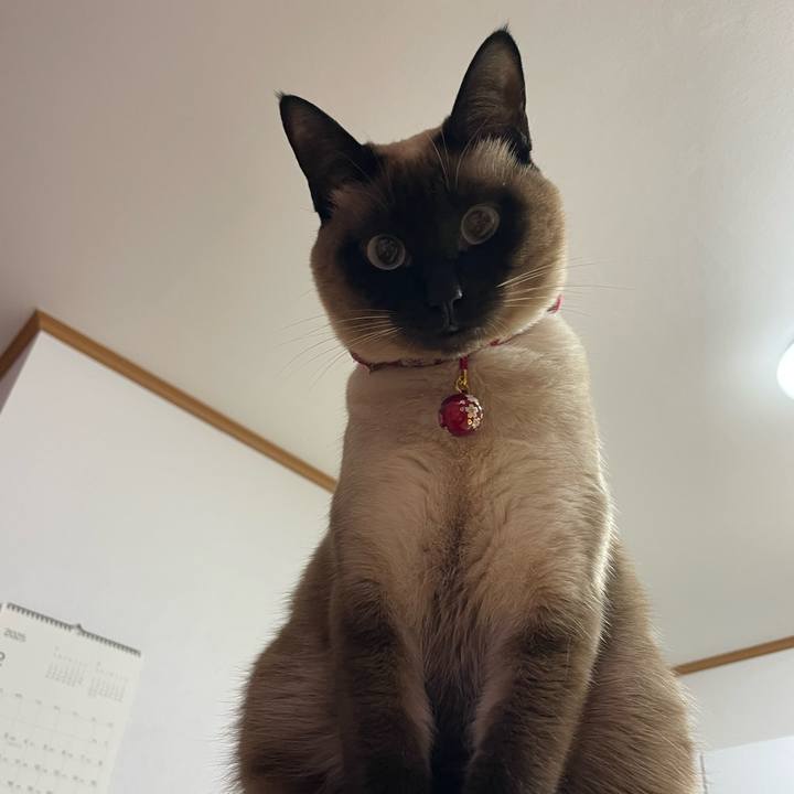 Ae5da0ca 096d 4d0b a03e fd5fd028ed12 1739393716381