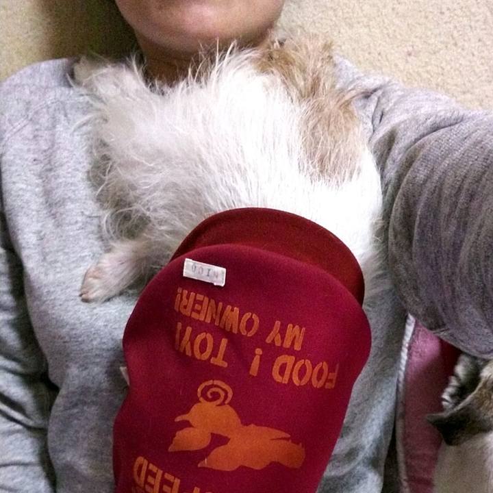 Ae5db10c a6ad 4aab 8a5f d26e9017a98e 1580542456292