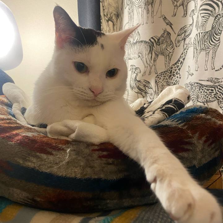 Ae5db4a7 5c05 4346 9e64 322d034a2fcb 1687227579244