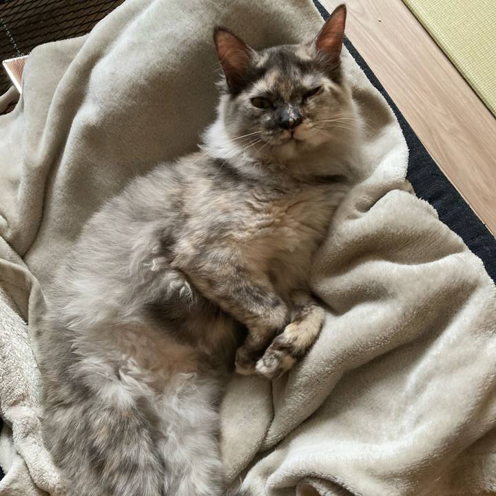 Ae5dbaa5 1f11 42c9 aa2c d16be5232b26 1708836877725