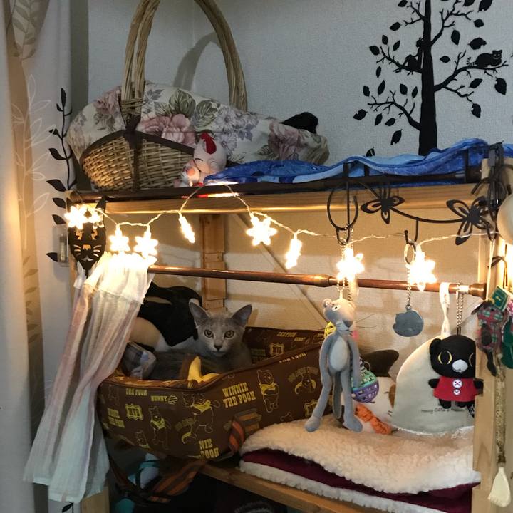 Ae5dc0cd 578e 4888 85bd f40241bb49a6 1513548620974