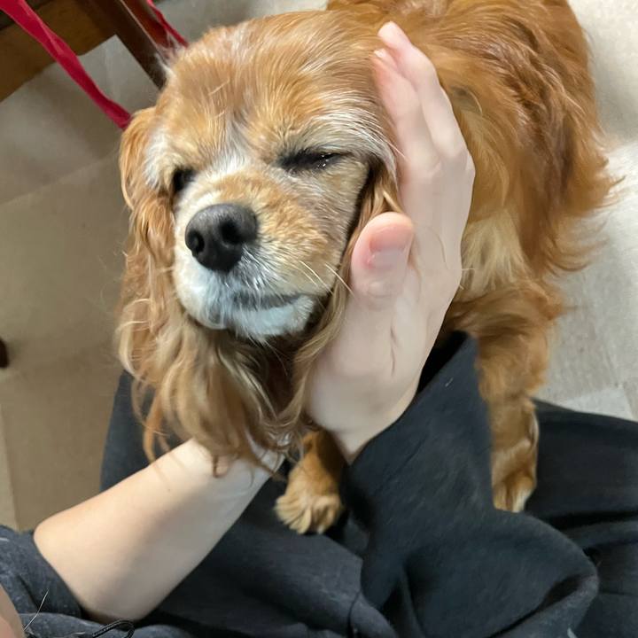 Ae5de1c5 1c99 4484 b6f6 86bf87266a8f 1769943649717