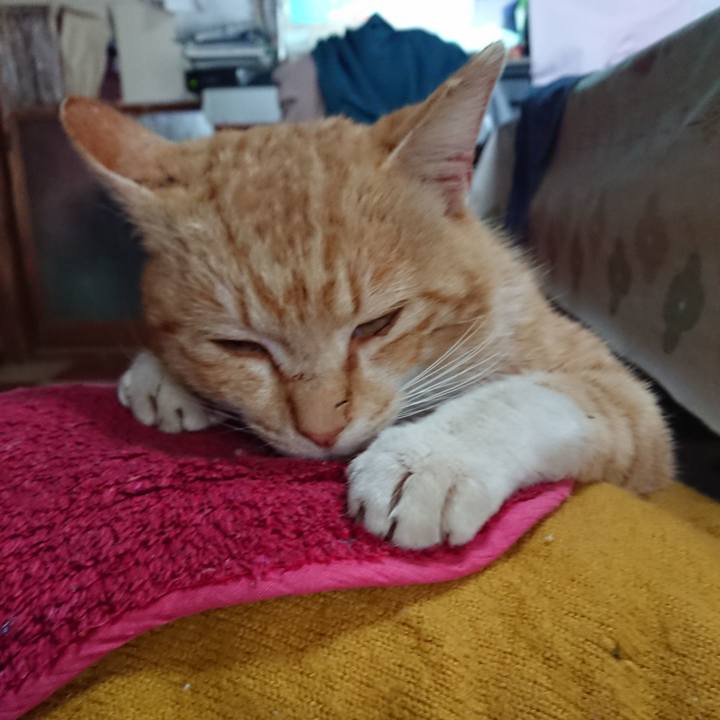 Ae5df47c c460 49e4 a292 534c3fed0439 1554173151767