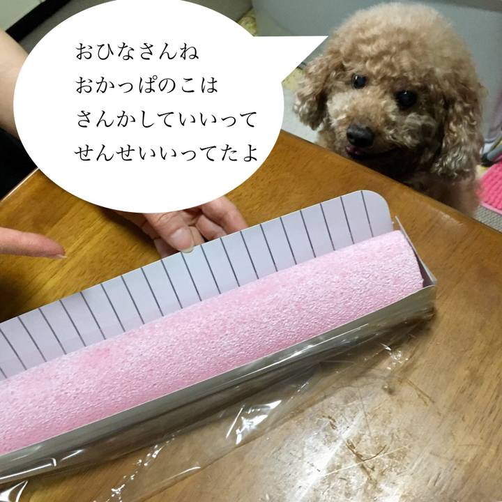 Ae5e0390 5eda 4148 9f35 39f327b88223 1520085236455