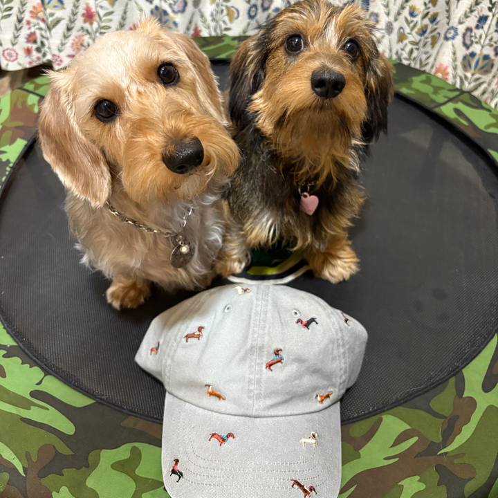 Ae5e15b8 82b1 4dcb b91c 16ed8b49fb86 1759023310281